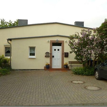 Pension Rosenvilla Sedlitz Екстериор снимка