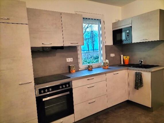Pension Rosenvilla Sedlitz Екстериор снимка