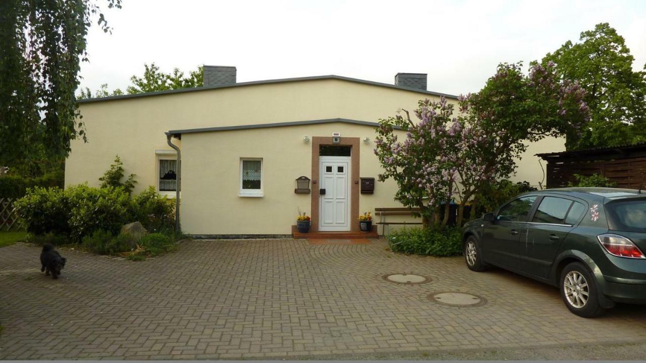 Pension Rosenvilla Sedlitz Екстериор снимка